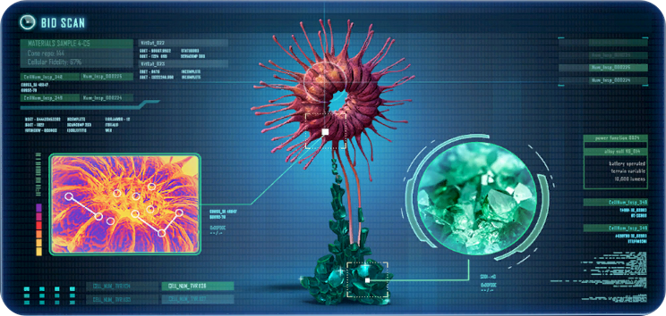 晶环草.png