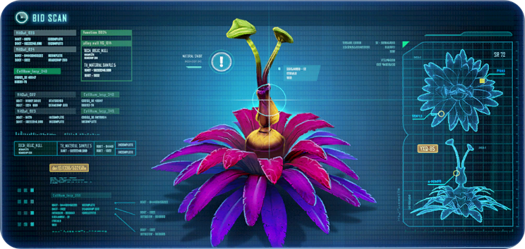 海棠花.png