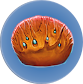 盘状珊瑚样本.png