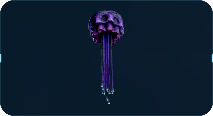 悬挂海樽